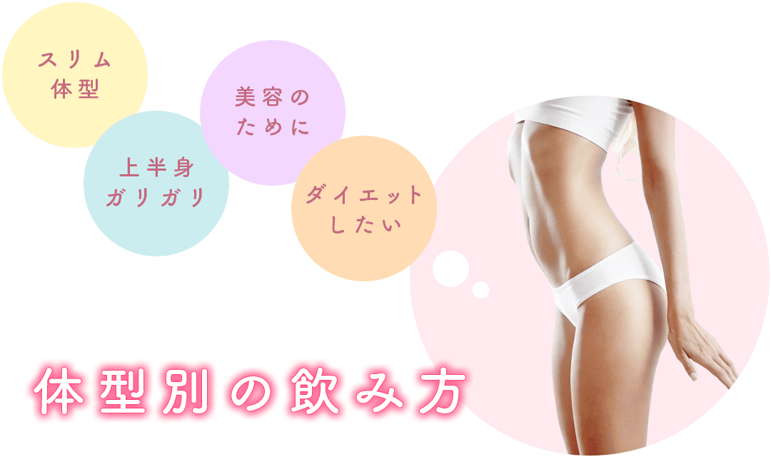 体型別の飲み方